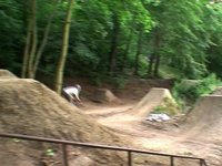 Piret demo LANDO 2009