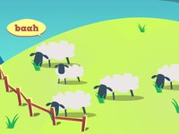 Sheep Short
