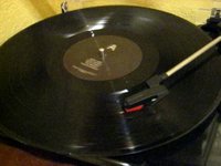 Vinyls