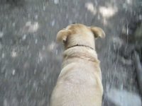 sweatyboozehounds episode three