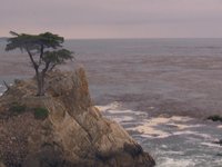 Monterey Bay