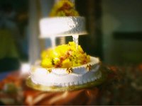 Karen and Jerson (wedding)