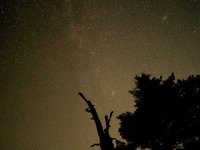 Perseids