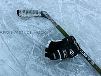 Un après-midi de hockey