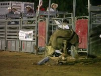 Battle of the Beast Rodeo