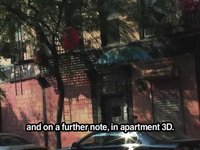 New York City Squatter * Richard Lion *