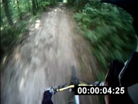 Zamilec DH