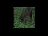 Seeing and hearing data: optical flow