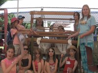 Epic Willowbrook Musical