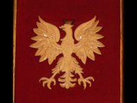 The Polish Patriot