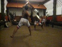 Kalaripayat