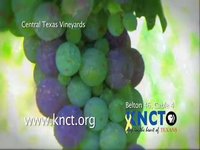 New KNCT Id