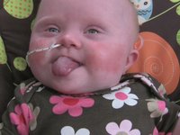 Bouncy Seat
