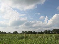 Clouds