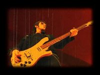 LOS GRILLOS - Sexo & Rock n´Roll
