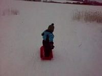 Quimi sledboarding