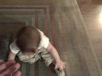 Lucia Walks