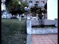 winter clips low