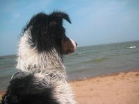 De Strandjutters, Titi en Gyp .... 20.08.2009.