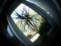 Handmade fisheye test.