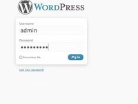 WordPress Posting and Editing Tutorial