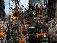 Tomasz Bednarczyk - Tomasz Bednarczyk -