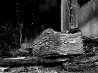 Lost Memories (B&W V5)
