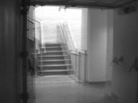Escape