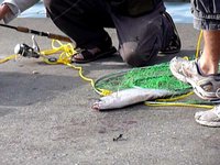 Fishing
