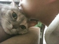 Scratching my cat