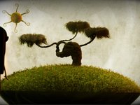 The Forest