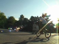 Pryszczu demo LANDO 2009