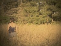 Mount Eerie: Between Two Mysteries.
