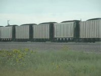 Trenes de carbón