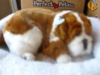 Perfect Petzz, la mascota perfecta: ni come ni caga