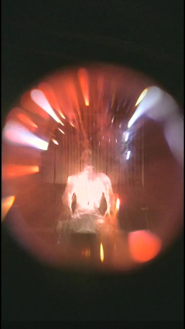 22979206_640