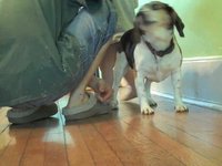 Teaching Cloda a new Trick