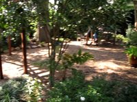 Gracia's garden