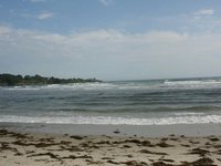Higgin's Beach