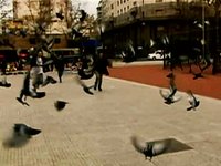 Slow Mo