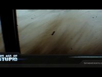 The Age of Stupid USA Trailer