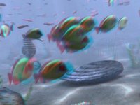 3d underwater Anaglyph test