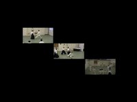 Aikido Montage - Low Res