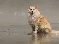 Trip to Tofino