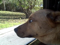 Hero loves the wind in his hair