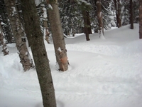 2/23/09