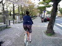 Cycling & Filming in Kyoto