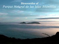 Parque Nacional Islas del Atlántico (Galicia)