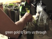 Pesto Video Haiku