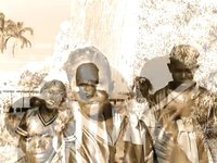Croker Island Baracuda 2009